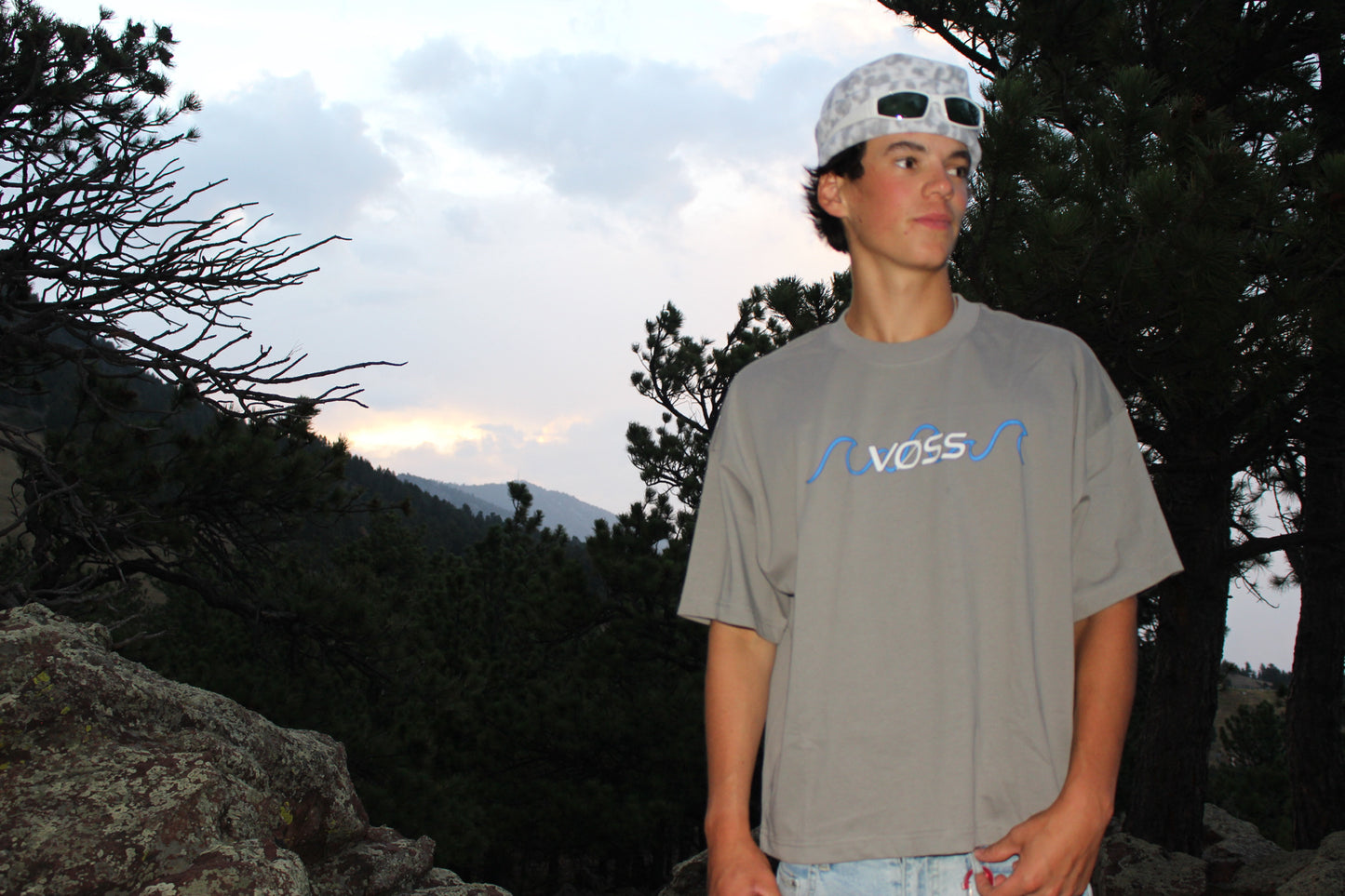 VOSS T-shirt/Grey