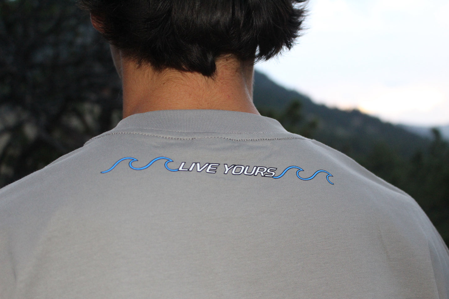VOSS T-shirt/Grey