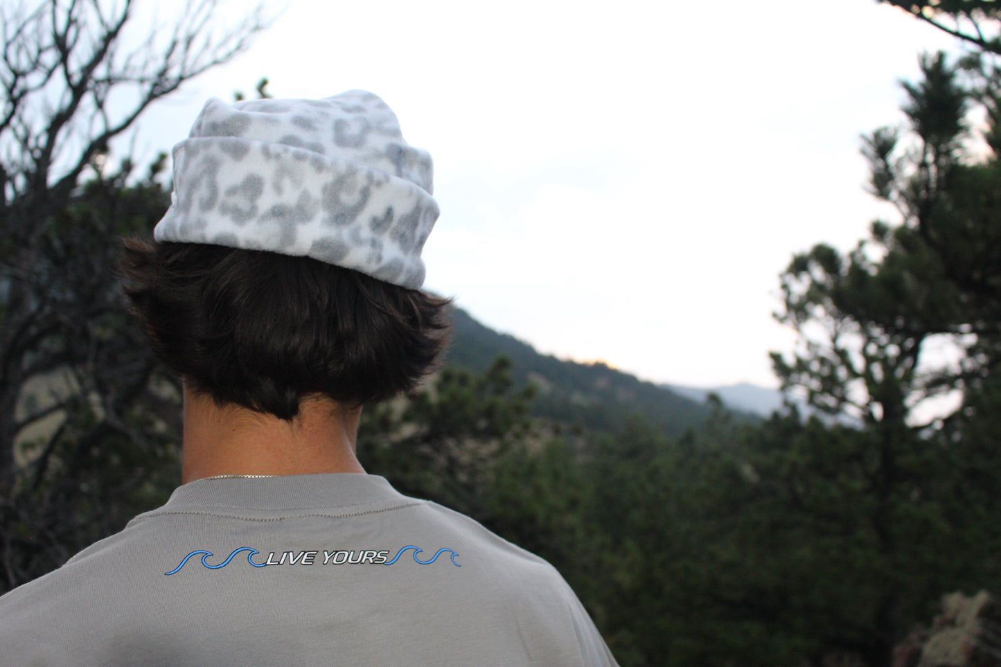 VOSS T-shirt/Grey
