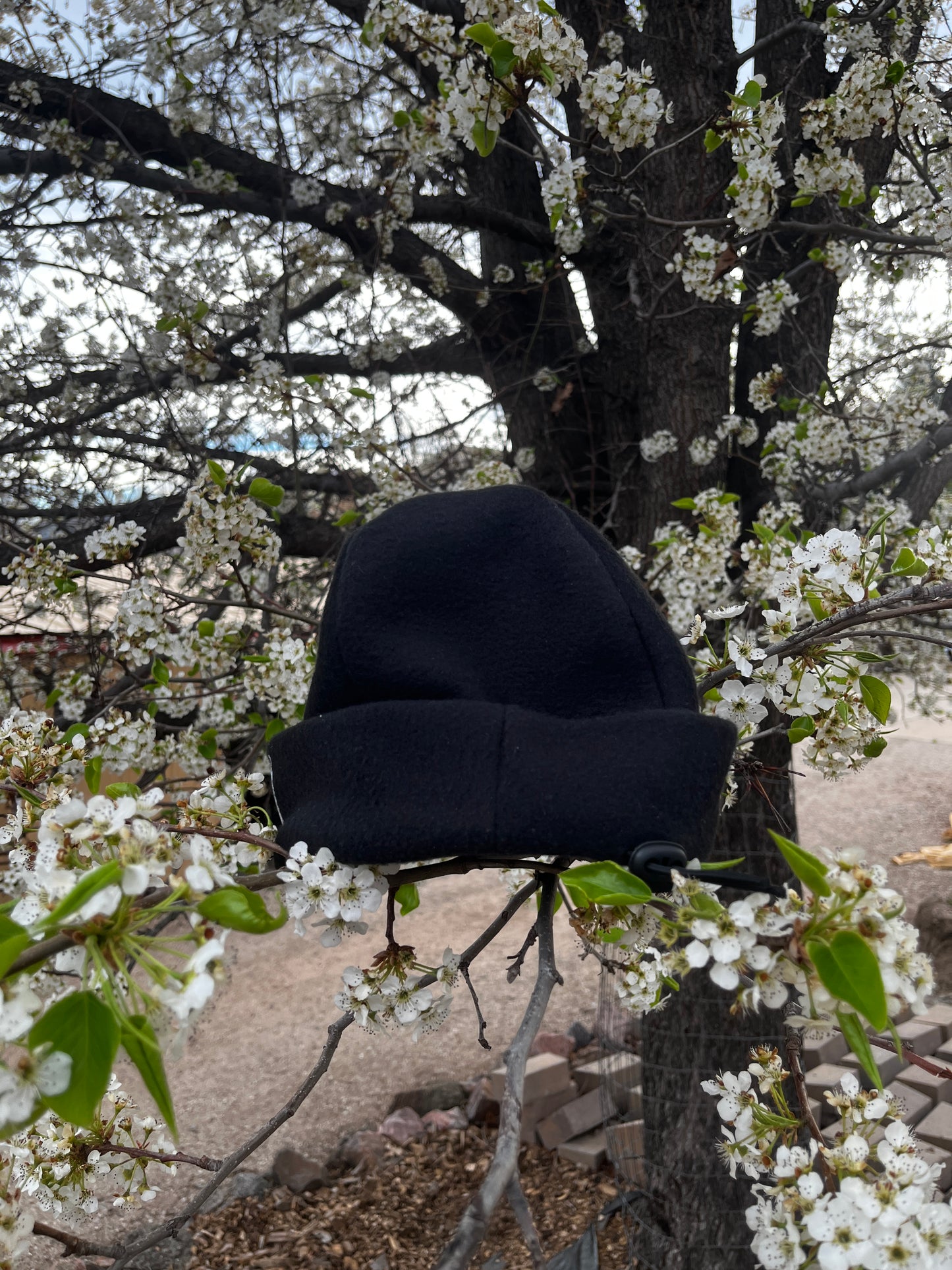 Black Sinch Beanie