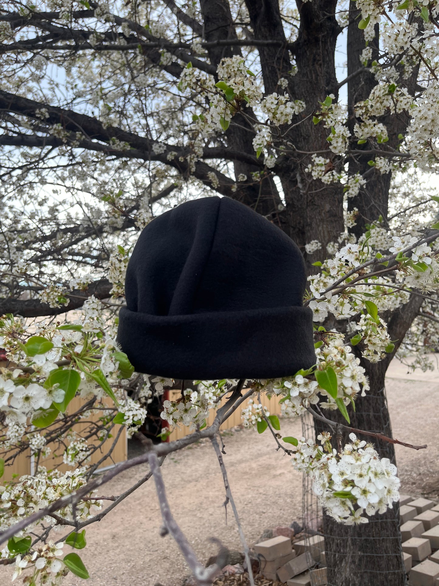 Black Beanie