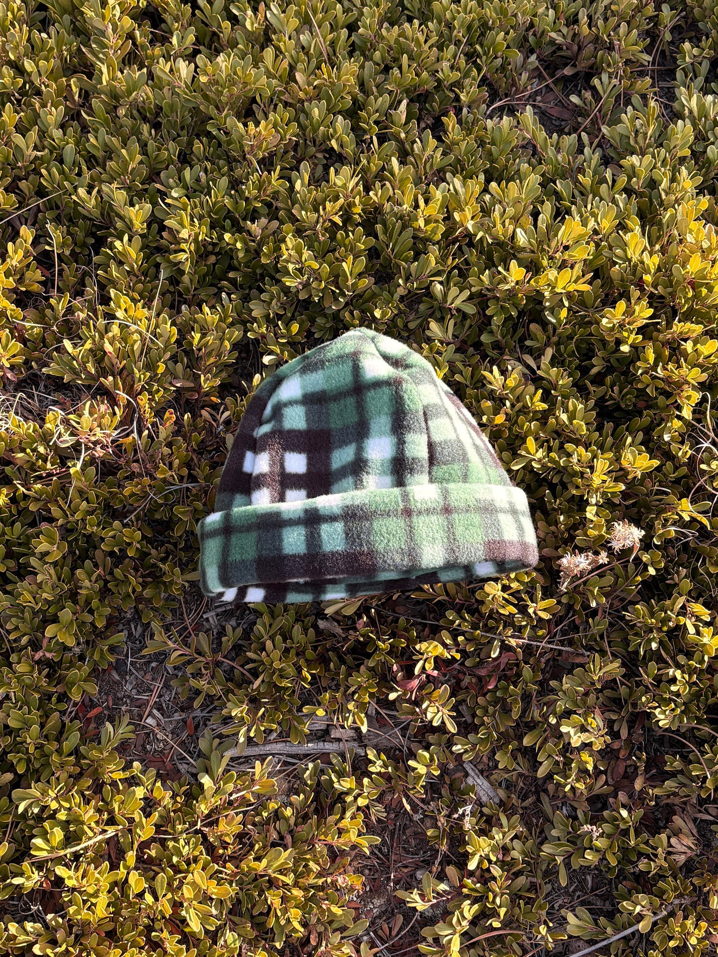 Green Plaid