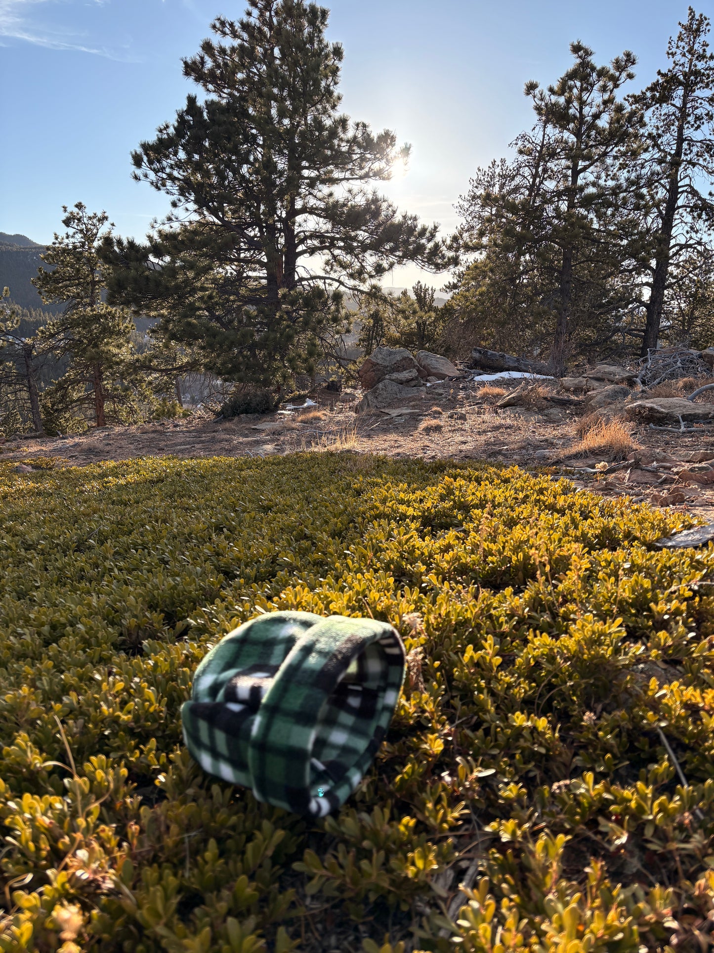 Green Plaid